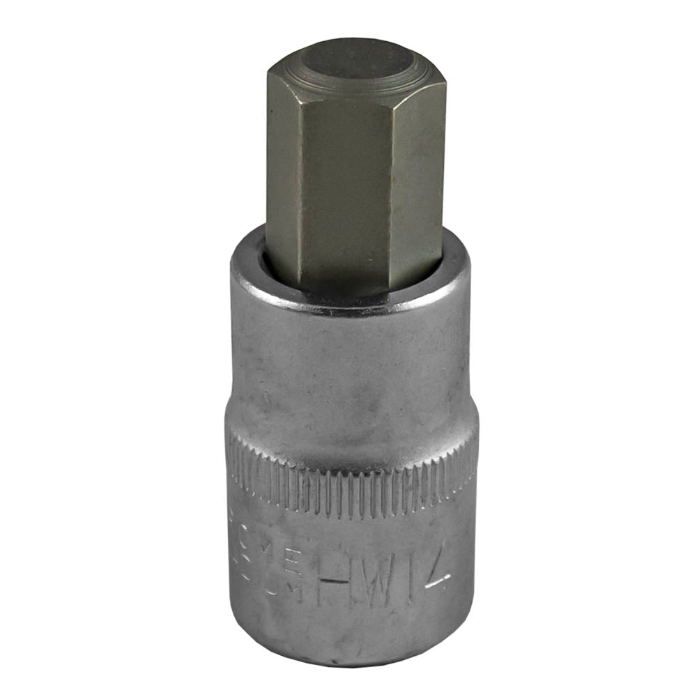 TESTE PER GIRAVITE 14MM ALLEN | 10221