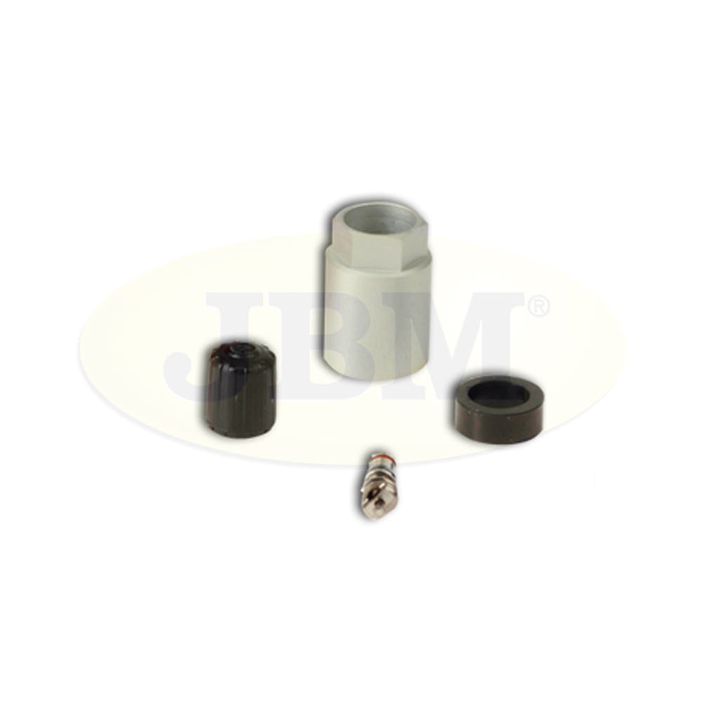 RICAMBIO KIT TPMS SCH GEN 2/3 | 12905