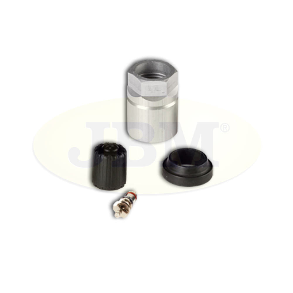 RICAMBIO KIT TPMS SCH GEN 2/3 | 12912