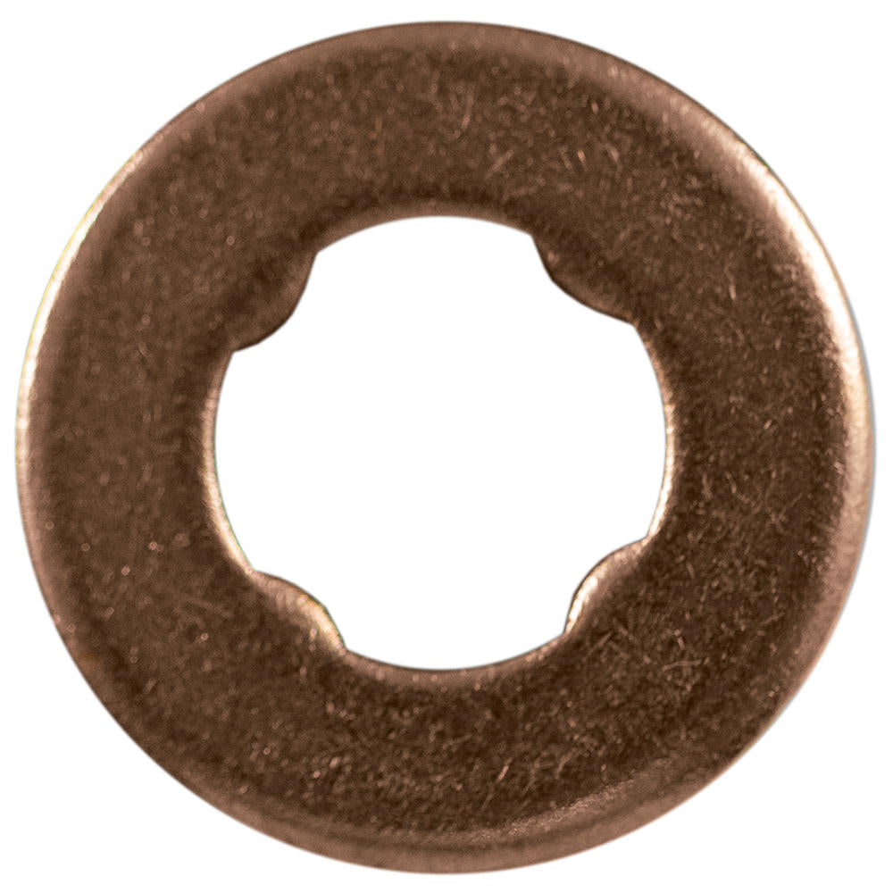 SACCA DI 30 RONDELLE DI RAMA PER INIETTORI - ?15.0X7.5X1.5 - IVECO, FORD, BMW, MAN (REF. 53464) | 13948