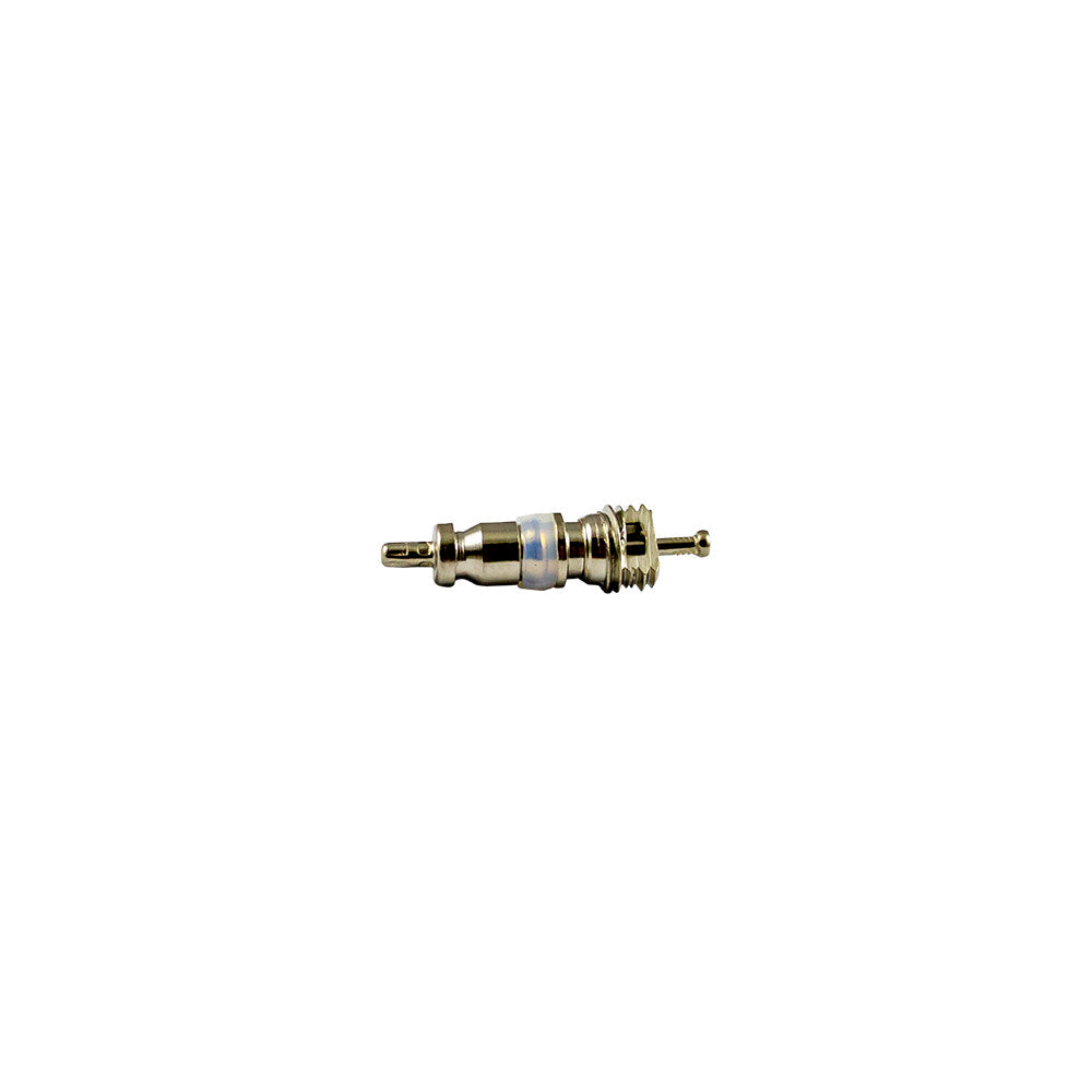 SET DI 10 VALVOLE PER RIF. 53599 - 5X19 MM R12 | 14596