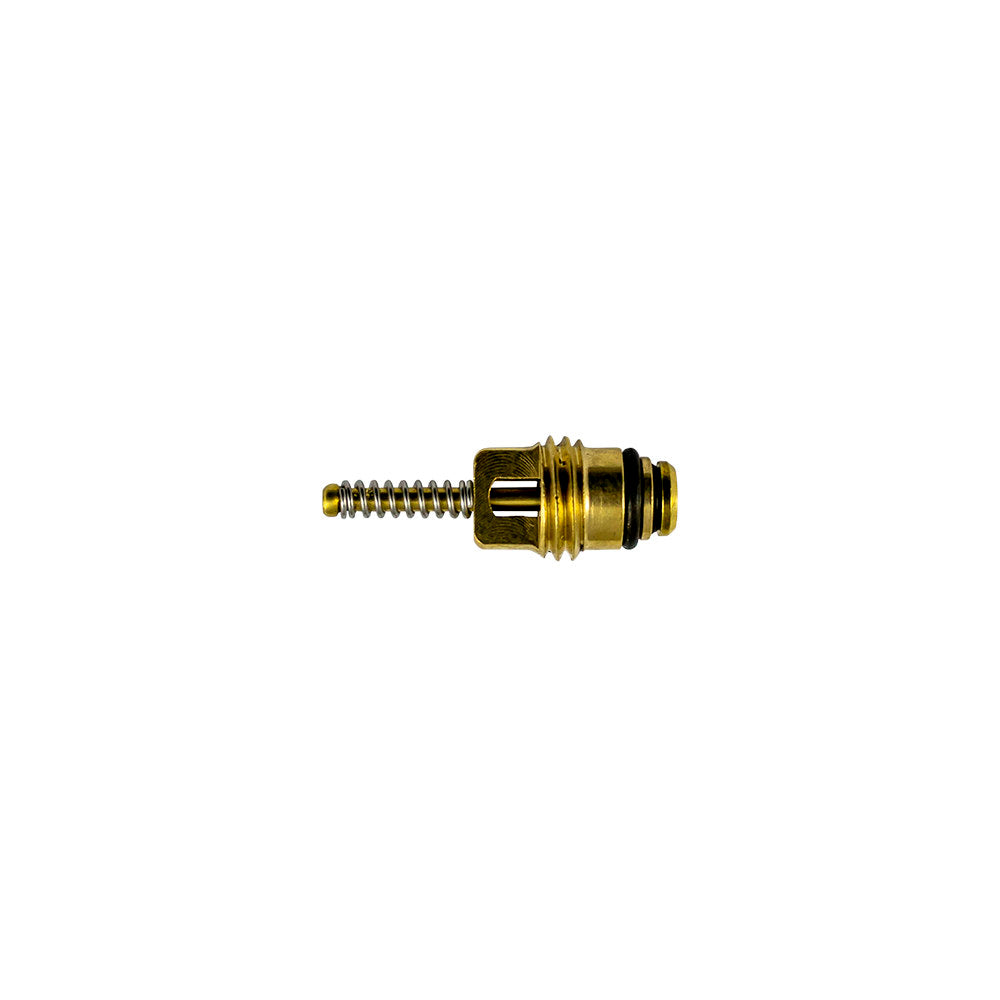 SET DI 10 VALVOLE PER RIF. 53599 - 6X22 MM | 14600