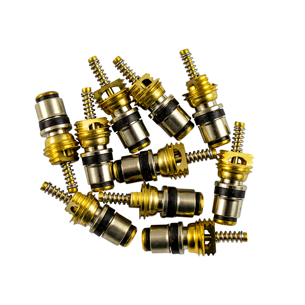 SET DI 10 VALVOLE PER RIF. 53599 - 8X22 MM | 14601