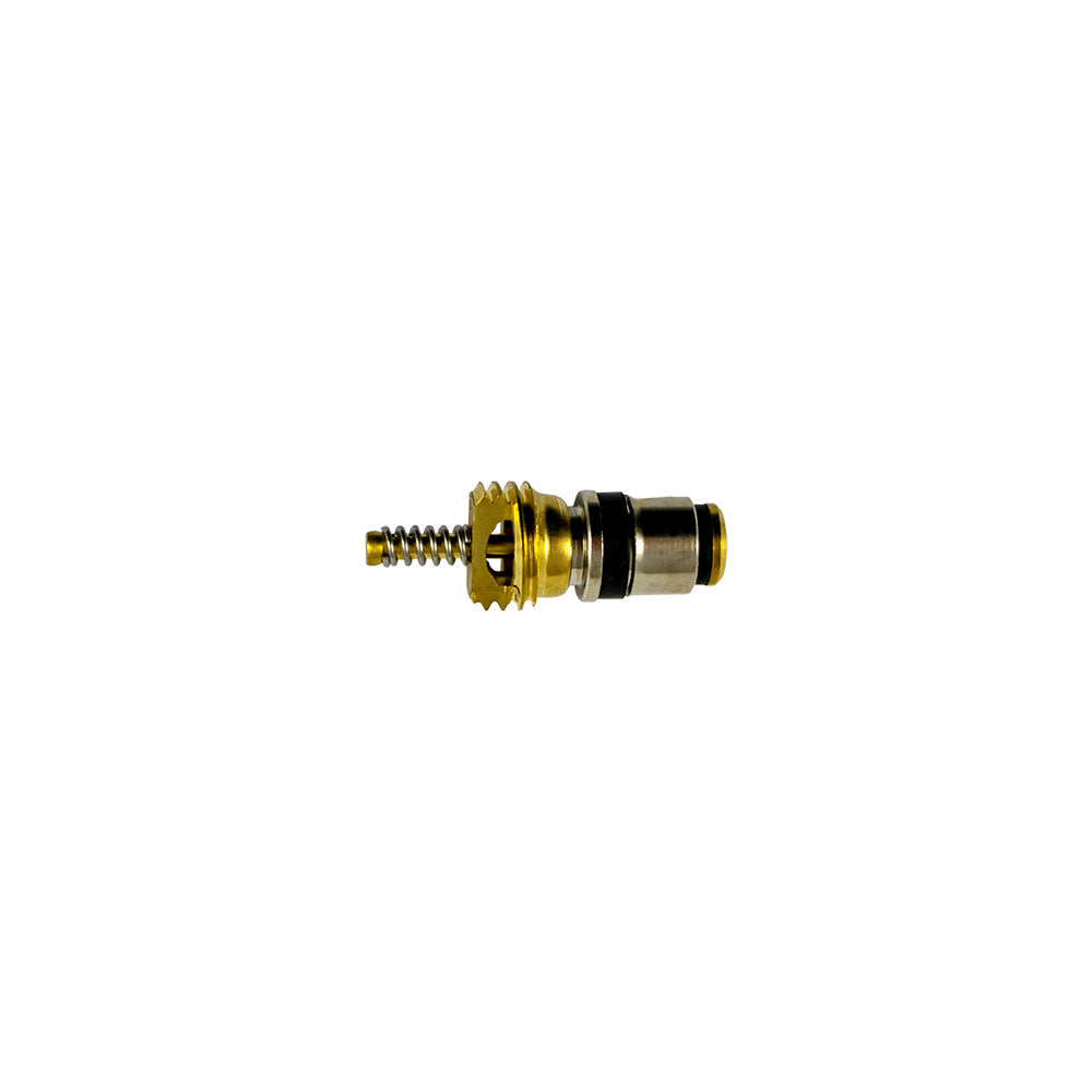 SET DI 10 VALVOLE PER RIF. 53599 - 8X22 MM | 14601
