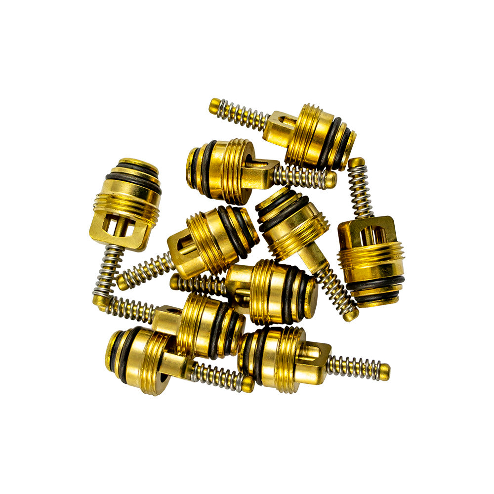 SET DI 10 VALVOLE PER RIF. 53599 - 9X22 MM | 14602