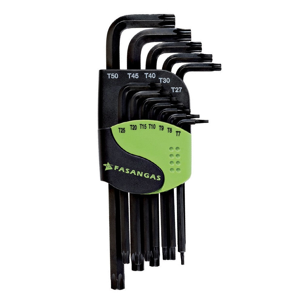 FG 137 SET CHIAVI MASCHIO PIEGATE CON IMPRONTA TAMPER RESISTANT TORX