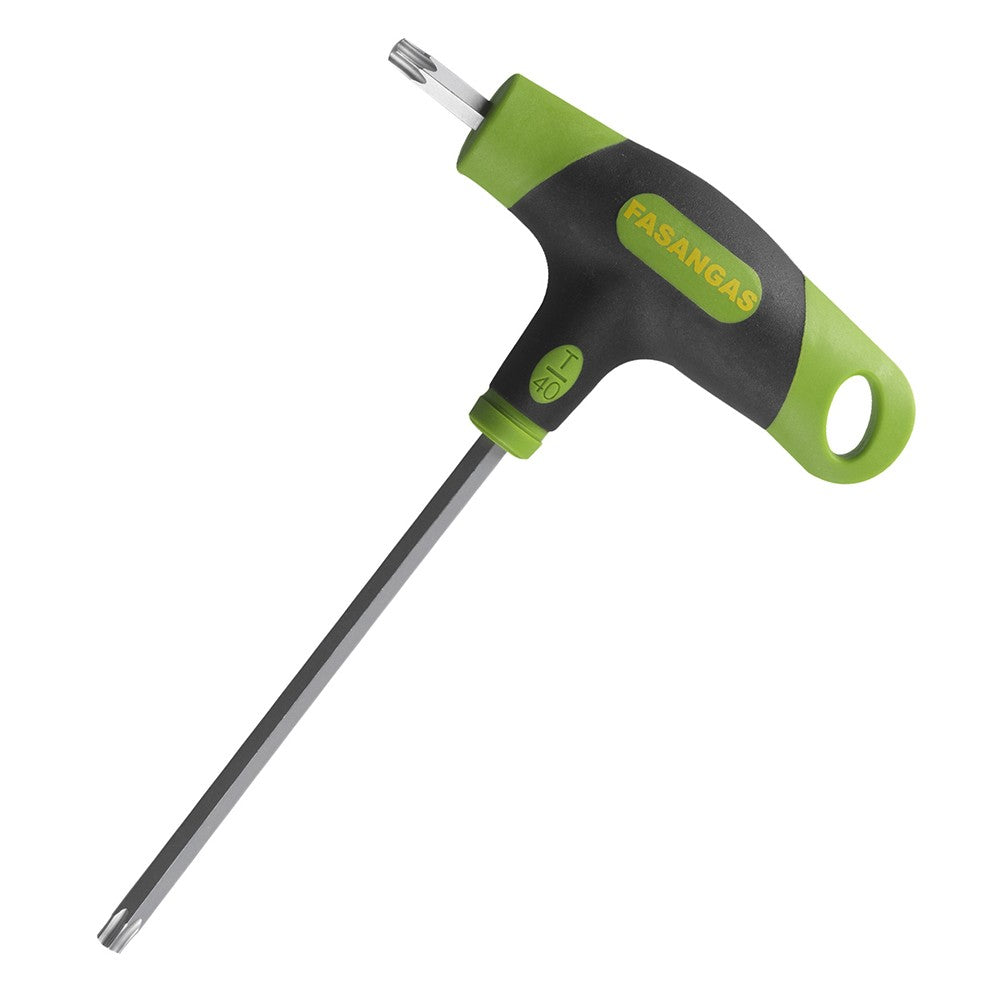 CHIAVI MASCHIO CON IMPUGNATURA E IMPRONTA TORX-FG 143/TX