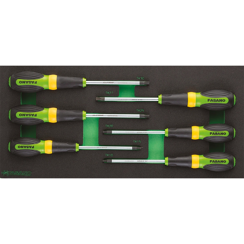 Modulo 6 giraviti Torx | FG 100/45I