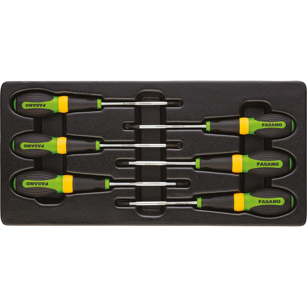 Modulo 6 giraviti Torx | FG 102/45I