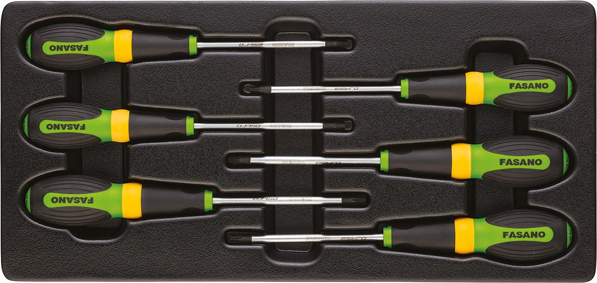 Modulo 6 giraviti con impronta Torx forata | FG 102/45L