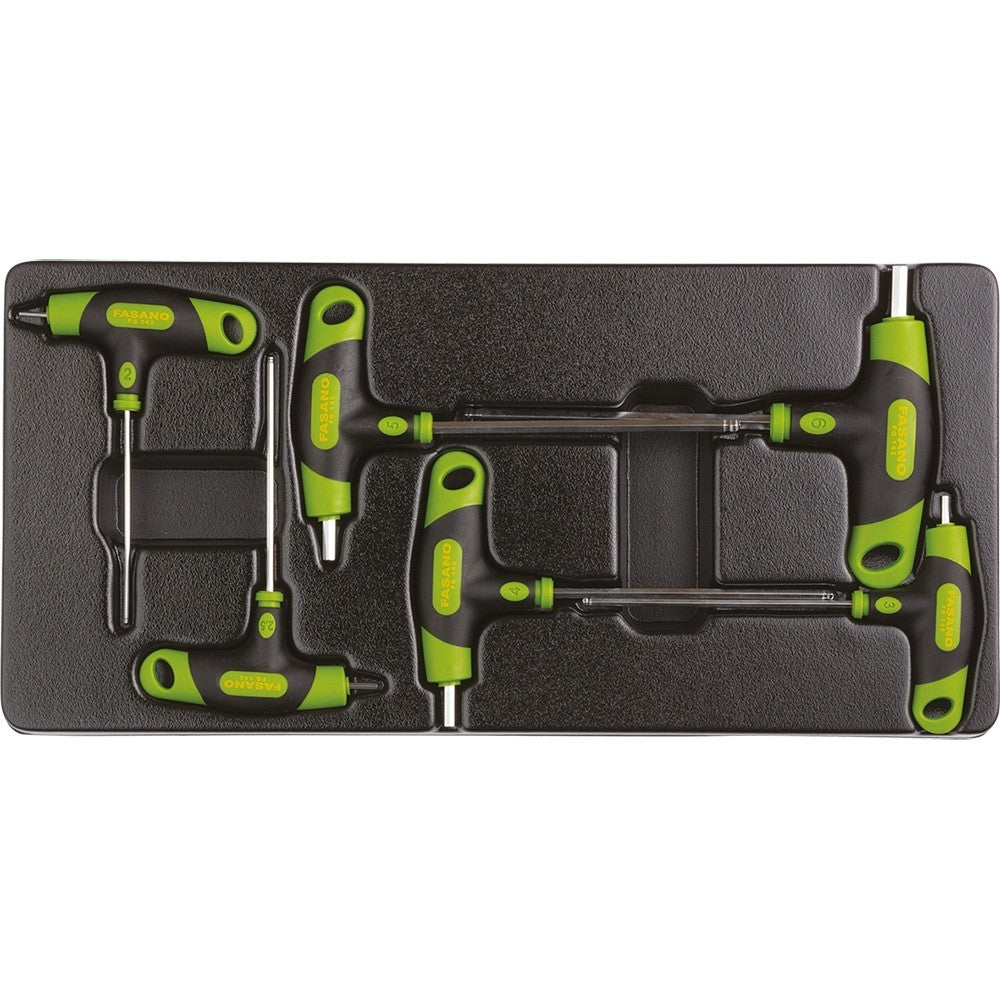 FG 102/50F Modulo chiavi maschio esagonali con impugatura