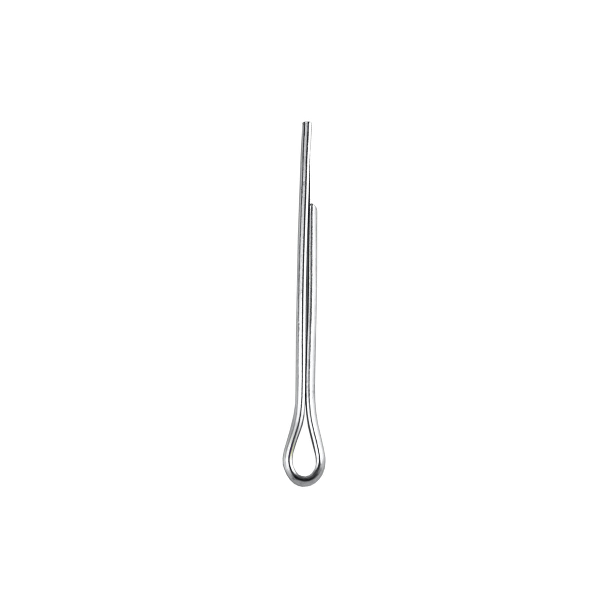 SPINOTTI 1,2 X 25 | 10796