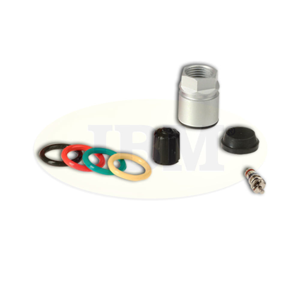 RICAMBIO KIT TPMS SCH GEN 2/3 | 12908