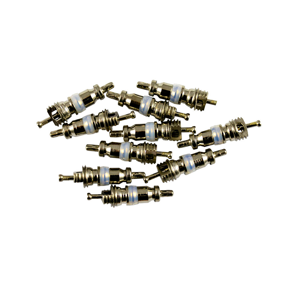 SET DI 10 VALVOLE PER RIF. 53599 - 5X19 MM R12 | 14596