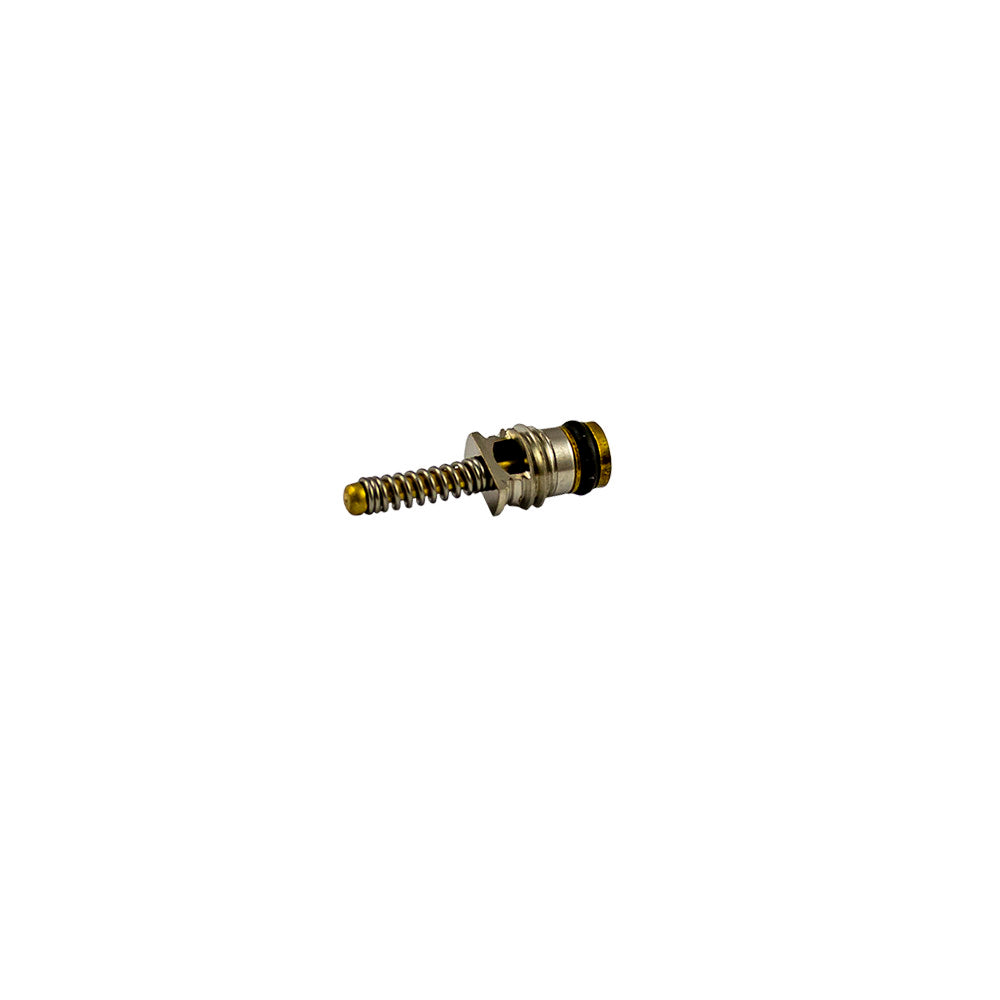 SET DI 10 VALVOLE PER RIF. 53599 - 6X19 MM | 14597