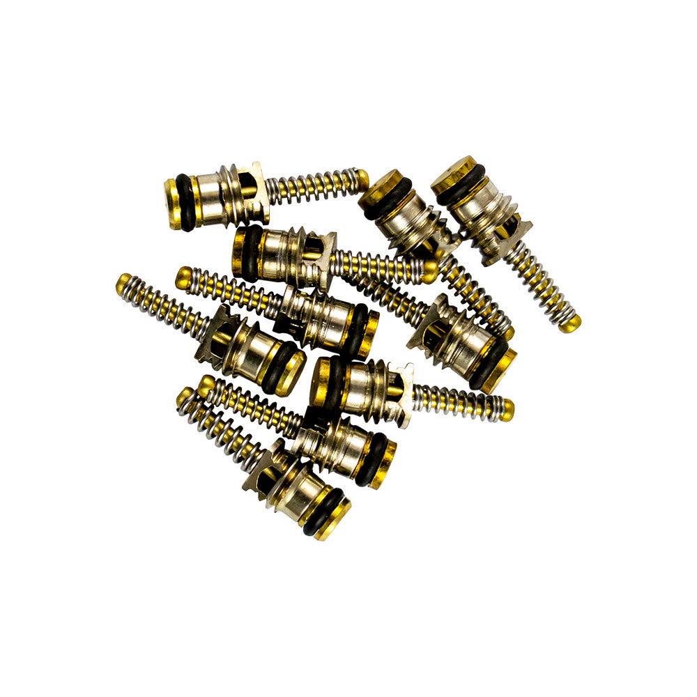 SET DI 10 VALVOLE PER RIF. 53599 - 6X19 MM | 14597