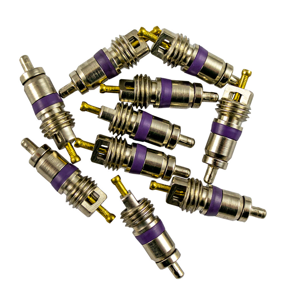 SET DI 10 VALVOLE PER RIF. 53599 - 6X26 MM | 14598