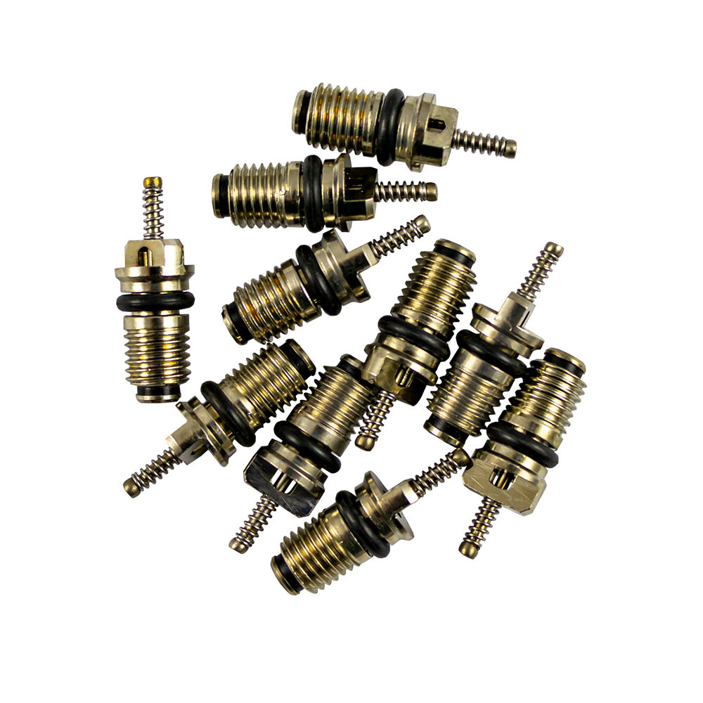 SET DI 10 VALVOLE PER RIF. 53599 - 7X20 MM R134A | 14599