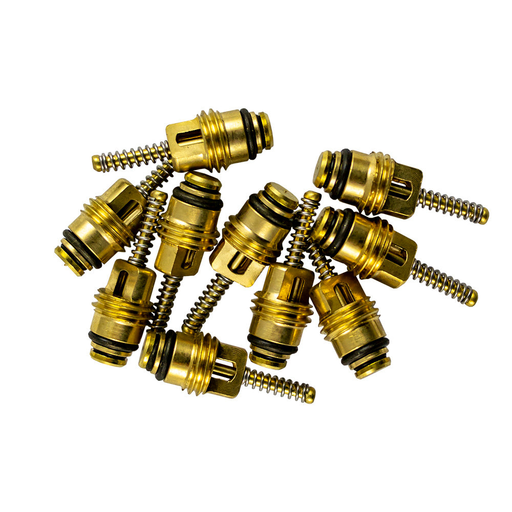 SET DI 10 VALVOLE PER RIF. 53599 - 6X22 MM | 14600