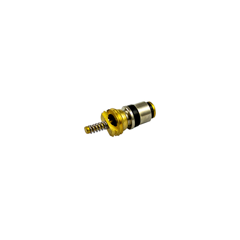 SET DI 10 VALVOLE PER RIF. 53599 - 8X22 MM | 14601