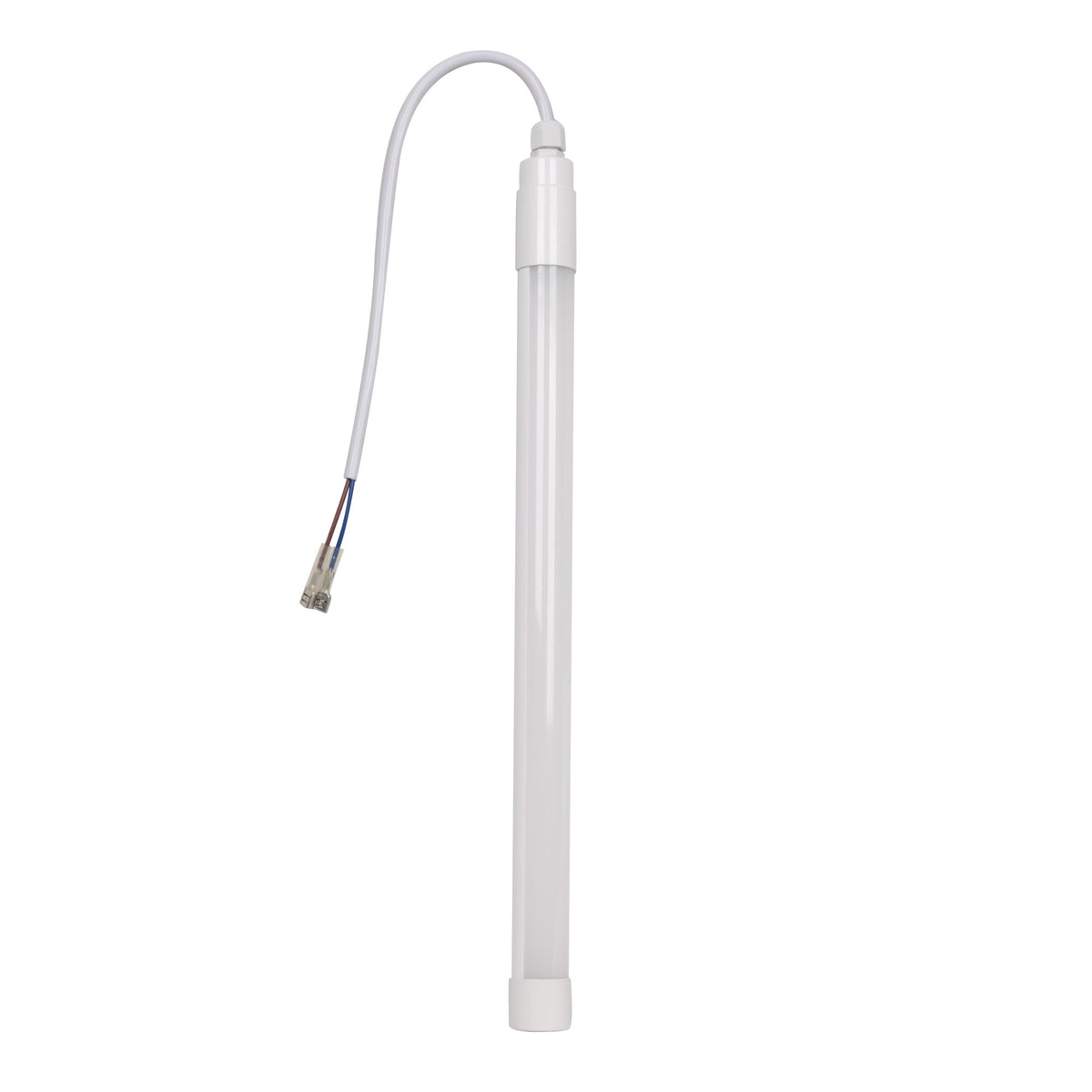 LAMPADA PER RIF.54341 | 16523