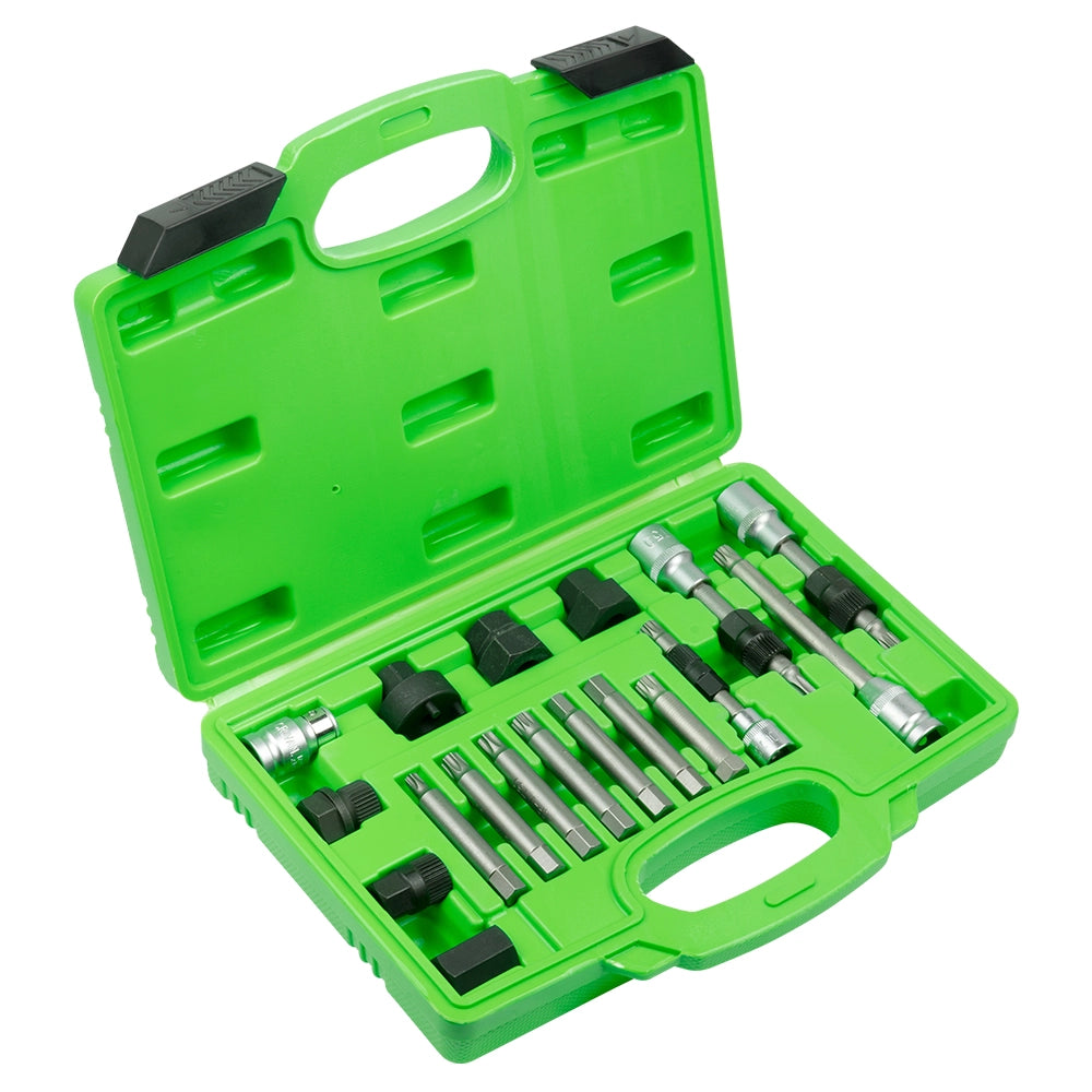 51259 SET DI 18 PEZZI ESTRATTORE PULEGGE ALTERNATORE
