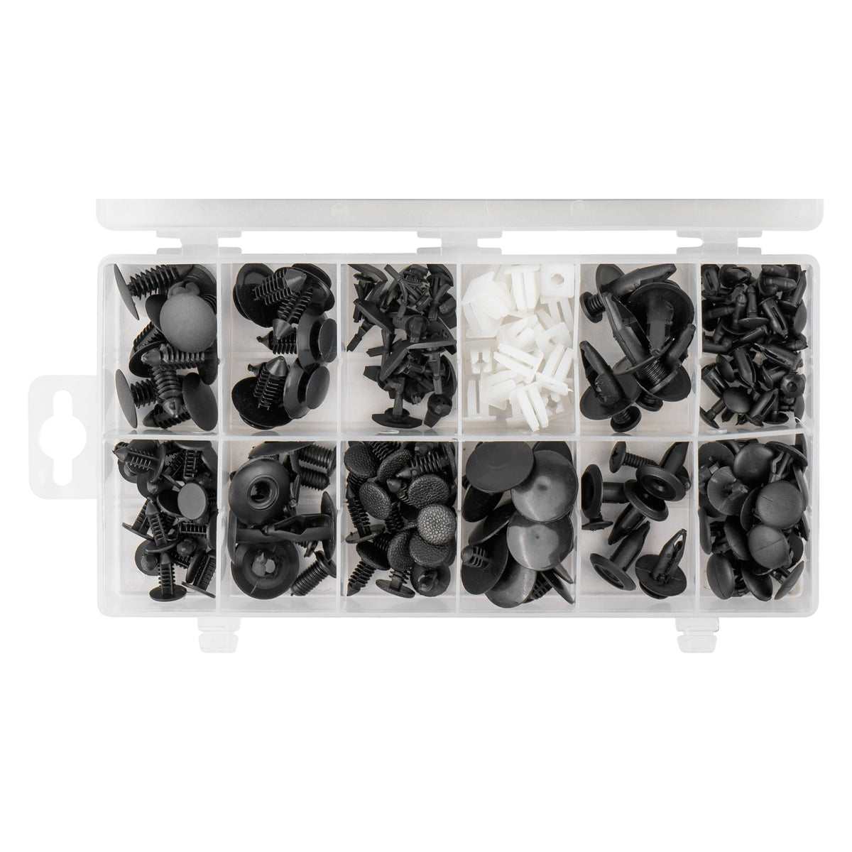 ASSORTIMENTO CLIP DI FISSAGGIO PER FORD 169 PEZZI | 52891