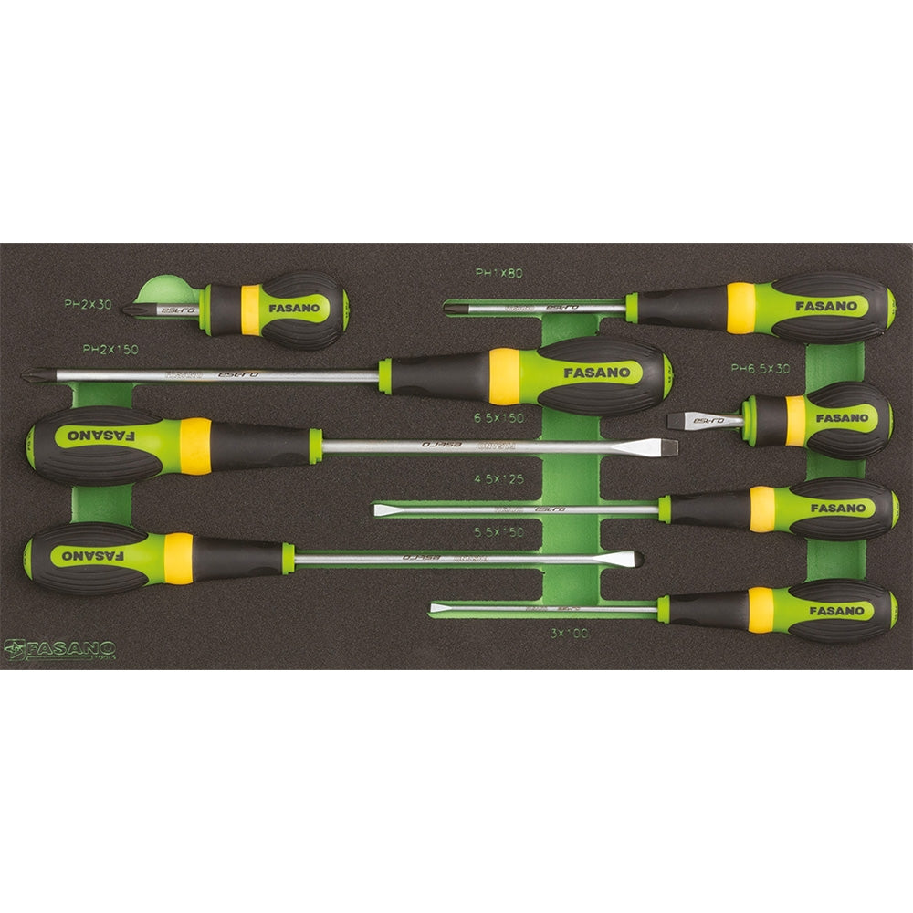 Modulo 8 giraviti a taglio e croce Phillips | FG 100/45E