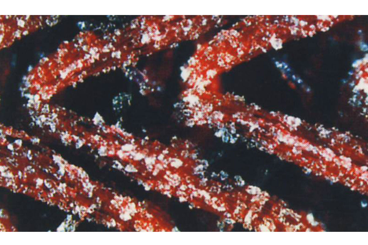 Dischi schiuma abrasiva Ø 75mm - X-CUT (BOX 20PZ)