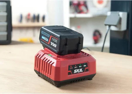 Caricabatterie standard SKIL 3122AA per batterie al litio 20V ricarica 85 minuti
